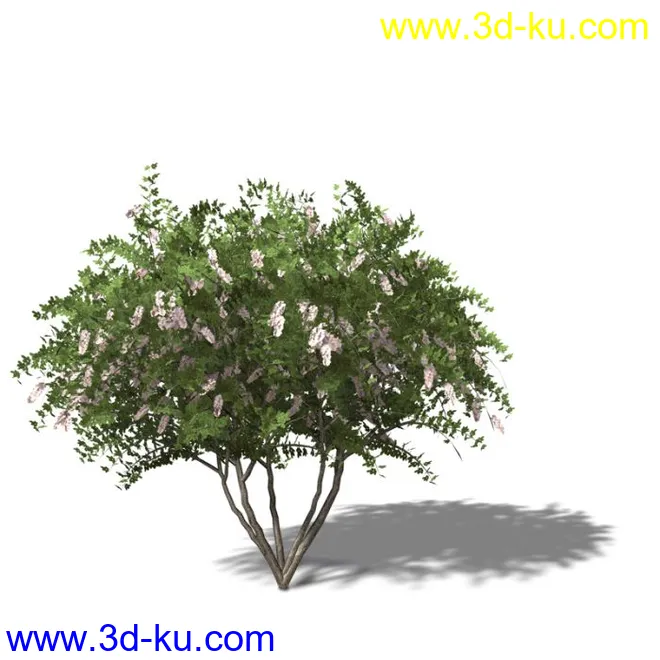 绿色植被 3d模型 Greenworks Xfrog Plants Blossoming-Iso的图片9