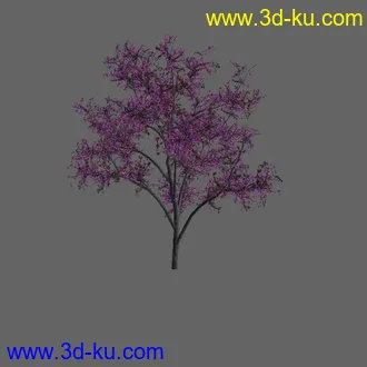 绿色植被 3d模型 Greenworks Xfrog Plants Blossoming-Iso的图片