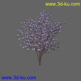 绿色植被 3d模型 Greenworks Xfrog Plants Blossoming-Iso的图片