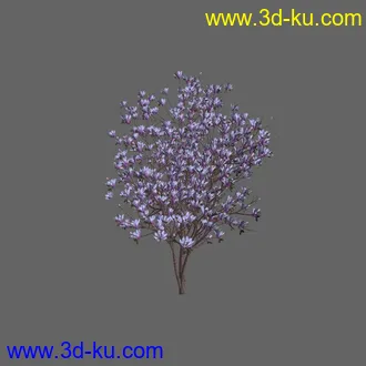 绿色植被 3d模型 Greenworks Xfrog Plants Blossoming-Iso的图片