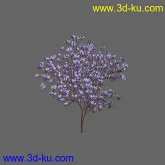 绿色植被 3d模型 Greenworks Xfrog Plants Blossoming-Iso的图片