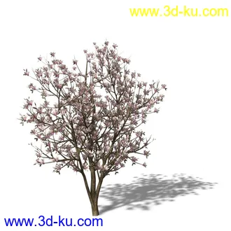 绿色植被 3d模型 Greenworks Xfrog Plants Blossoming-Iso的图片