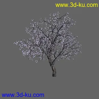 绿色植被 3d模型 Greenworks Xfrog Plants Blossoming-Iso的图片