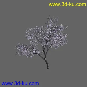 绿色植被 3d模型 Greenworks Xfrog Plants Blossoming-Iso的图片