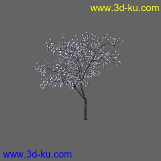 绿色植被 3d模型 Greenworks Xfrog Plants Blossoming-Iso的图片