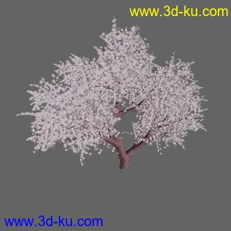 绿色植被 3d模型 Greenworks Xfrog Plants Blossoming-Iso的图片