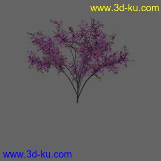 绿色植被 3d模型 Greenworks Xfrog Plants Blossoming-Iso的图片
