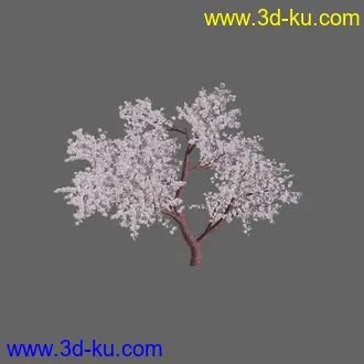 绿色植被 3d模型 Greenworks Xfrog Plants Blossoming-Iso的图片