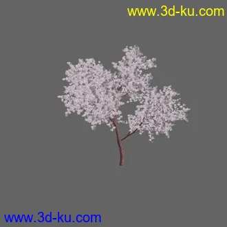 绿色植被 3d模型 Greenworks Xfrog Plants Blossoming-Iso的图片