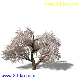 绿色植被 3d模型 Greenworks Xfrog Plants Blossoming-Iso的图片