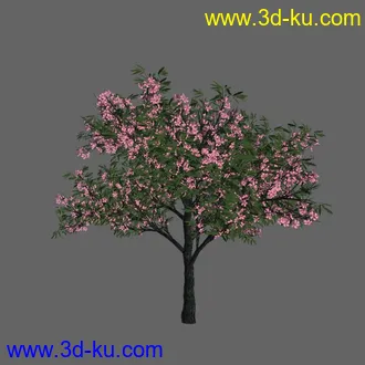 绿色植被 3d模型 Greenworks Xfrog Plants Blossoming-Iso的图片