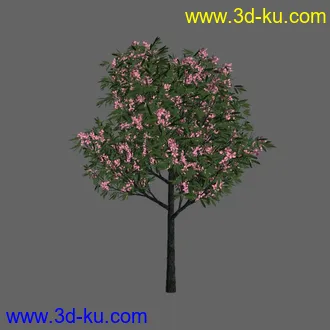 绿色植被 3d模型 Greenworks Xfrog Plants Blossoming-Iso的图片