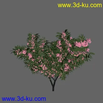 绿色植被 3d模型 Greenworks Xfrog Plants Blossoming-Iso的图片