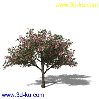 绿色植被 3d模型 Greenworks Xfrog Plants Blossoming-Iso的图片
