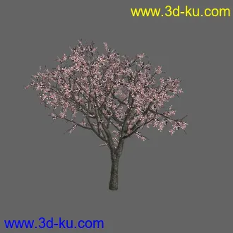 绿色植被 3d模型 Greenworks Xfrog Plants Blossoming-Iso的图片