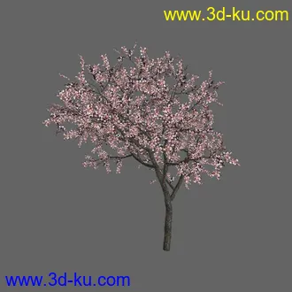 绿色植被 3d模型 Greenworks Xfrog Plants Blossoming-Iso的图片
