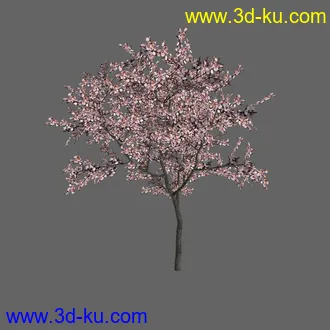 绿色植被 3d模型 Greenworks Xfrog Plants Blossoming-Iso的图片