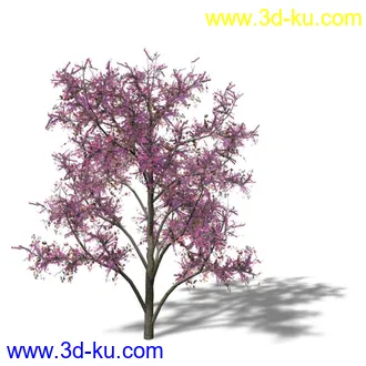 绿色植被 3d模型 Greenworks Xfrog Plants Blossoming-Iso的图片