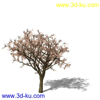 绿色植被 3d模型 Greenworks Xfrog Plants Blossoming-Iso的图片