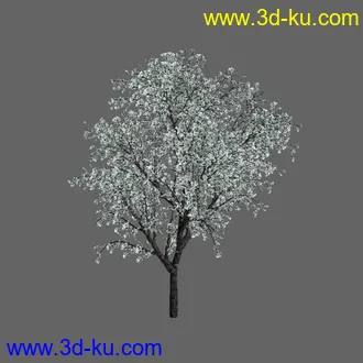 绿色植被 3d模型 Greenworks Xfrog Plants Blossoming-Iso的图片