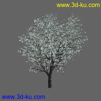 绿色植被 3d模型 Greenworks Xfrog Plants Blossoming-Iso的图片