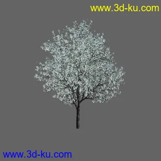 绿色植被 3d模型 Greenworks Xfrog Plants Blossoming-Iso的图片