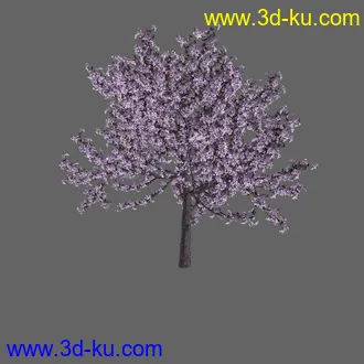 绿色植被 3d模型 Greenworks Xfrog Plants Blossoming-Iso的图片