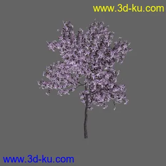 绿色植被 3d模型 Greenworks Xfrog Plants Blossoming-Iso的图片