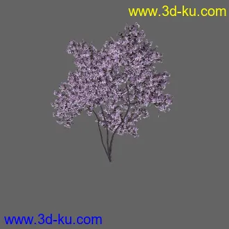 绿色植被 3d模型 Greenworks Xfrog Plants Blossoming-Iso的图片
