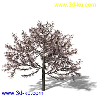 绿色植被 3d模型 Greenworks Xfrog Plants Blossoming-Iso的图片