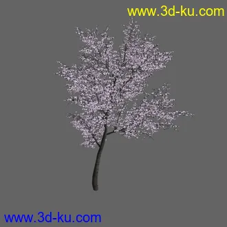 绿色植被 3d模型 Greenworks Xfrog Plants Blossoming-Iso的图片
