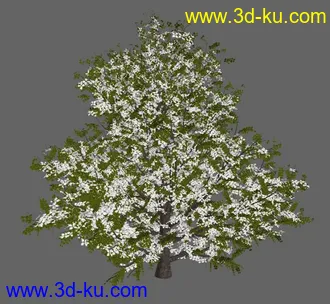 绿色植被 3d模型 Greenworks Xfrog Plants Blossoming-Iso的图片