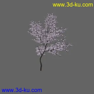 绿色植被 3d模型 Greenworks Xfrog Plants Blossoming-Iso的图片