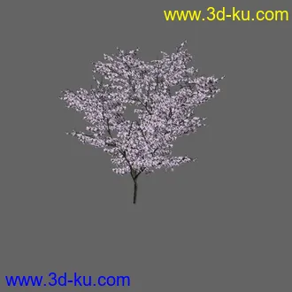 绿色植被 3d模型 Greenworks Xfrog Plants Blossoming-Iso的图片