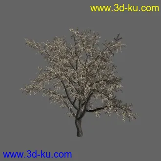绿色植被 3d模型 Greenworks Xfrog Plants Blossoming-Iso的图片