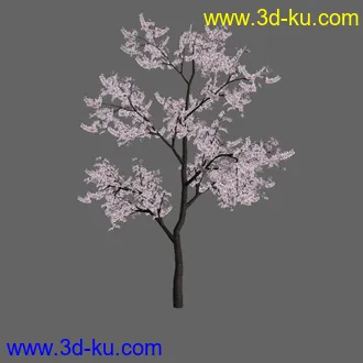 绿色植被 3d模型 Greenworks Xfrog Plants Blossoming-Iso的图片