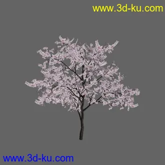 绿色植被 3d模型 Greenworks Xfrog Plants Blossoming-Iso的图片