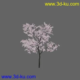 绿色植被 3d模型 Greenworks Xfrog Plants Blossoming-Iso的图片