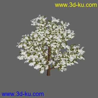 绿色植被 3d模型 Greenworks Xfrog Plants Blossoming-Iso的图片