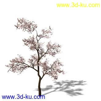 绿色植被 3d模型 Greenworks Xfrog Plants Blossoming-Iso的图片