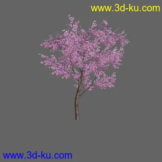 绿色植被 3d模型 Greenworks Xfrog Plants Blossoming-Iso的图片
