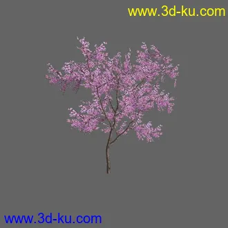 绿色植被 3d模型 Greenworks Xfrog Plants Blossoming-Iso的图片