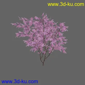 绿色植被 3d模型 Greenworks Xfrog Plants Blossoming-Iso的图片