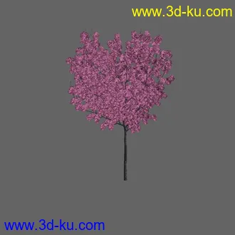 绿色植被 3d模型 Greenworks Xfrog Plants Blossoming-Iso的图片