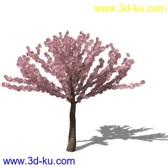 绿色植被 3d模型 Greenworks Xfrog Plants Blossoming-Iso的图片
