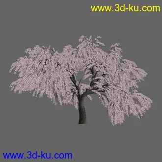 绿色植被 3d模型 Greenworks Xfrog Plants Blossoming-Iso的图片