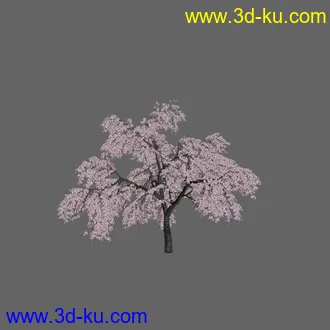 绿色植被 3d模型 Greenworks Xfrog Plants Blossoming-Iso的图片