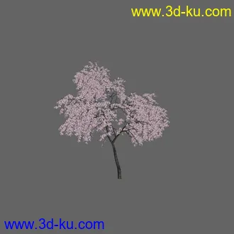 绿色植被 3d模型 Greenworks Xfrog Plants Blossoming-Iso的图片