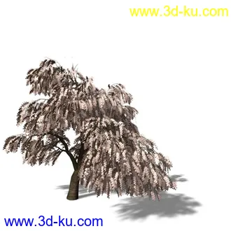绿色植被 3d模型 Greenworks Xfrog Plants Blossoming-Iso的图片