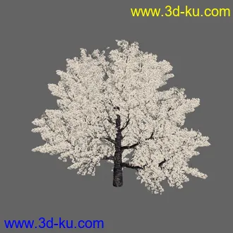 绿色植被 3d模型 Greenworks Xfrog Plants Blossoming-Iso的图片